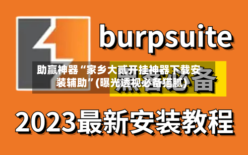 助赢神器“家乡大贰开挂神器下载安装辅助”(曝光透视必备猫腻)-第3张图片