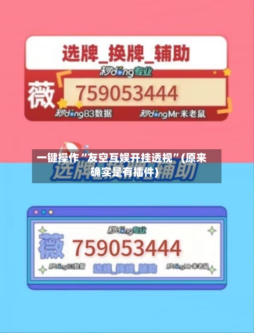 一键操作“友空互娱开挂透视”(原来确实是有插件)
