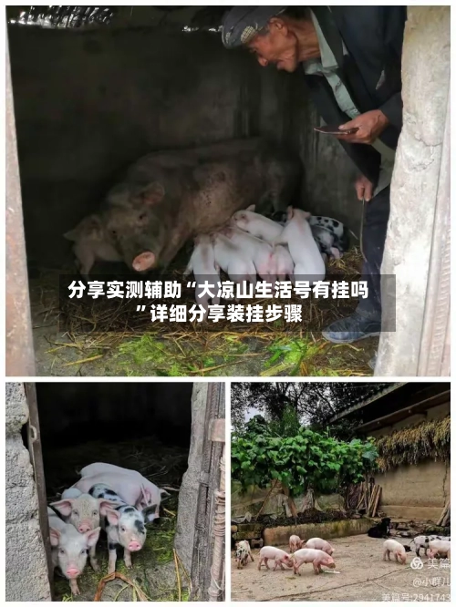 分享实测辅助“大凉山生活号有挂吗”详细分享装挂步骤