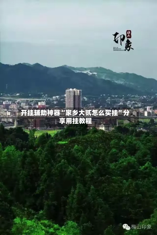 开挂辅助神器“家乡大贰怎么买挂”分享用挂教程