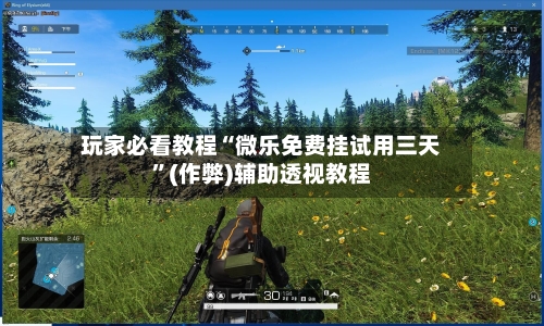 玩家必看教程“微乐免费挂试用三天”(作弊)辅助透视教程-第2张图片