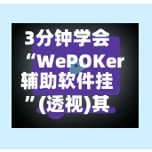 3分钟学会“WePOKer辅助软件挂”(透视)其实确实有挂-第3张图片