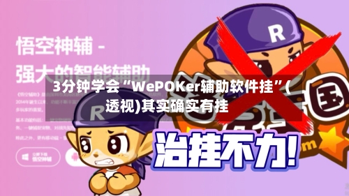 3分钟学会“WePOKer辅助软件挂”(透视)其实确实有挂