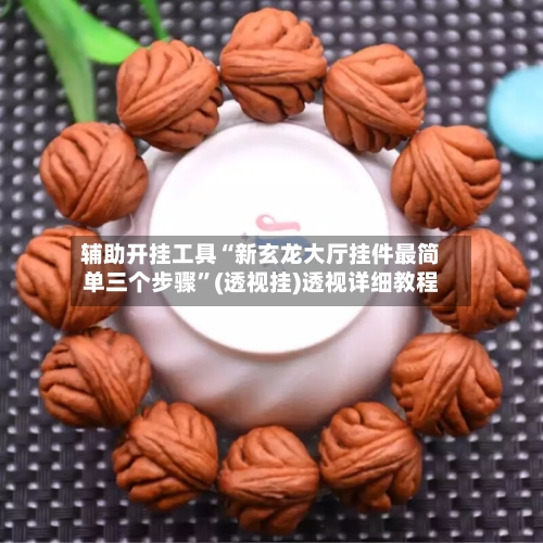 辅助开挂工具“新玄龙大厅挂件最简单三个步骤	”(透视挂)透视详细教程-第2张图片