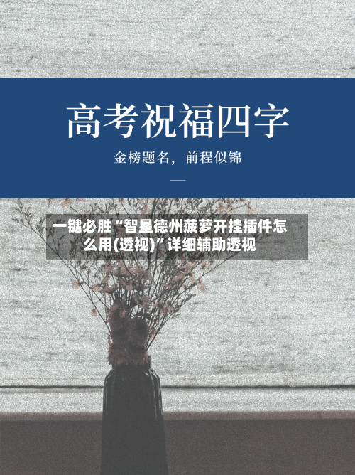 一键必胜“智星德州菠萝开挂插件怎么用(透视)”详细辅助透视-第2张图片
