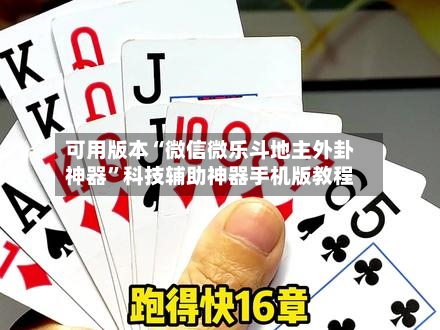 可用版本“微信微乐斗地主外卦神器”科技辅助神器手机版教程-第3张图片