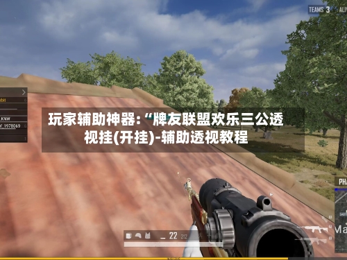 玩家辅助神器:“牌友联盟欢乐三公透视挂(开挂)-辅助透视教程