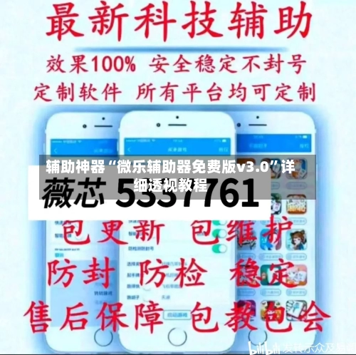 辅助神器“微乐辅助器免费版v3.0	”详细透视教程-第2张图片