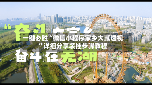 一键必胜“微信小程序家乡大贰透视”详细分享装挂步骤教程-第3张图片