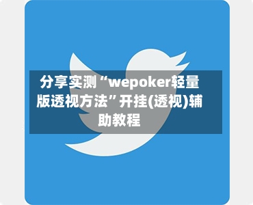 分享实测“wepoker轻量版透视方法”开挂(透视)辅助教程-第2张图片