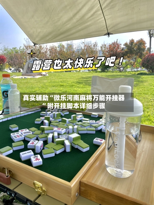 真实辅助“微乐河南麻将万能开挂器”附开挂脚本详细步骤