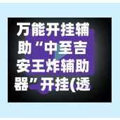 万能开挂辅助“中至吉安王炸辅助器	”开挂(透视)辅助教程-第2张图片