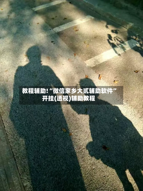 教程辅助!“微信家乡大贰辅助软件”开挂(透视)辅助教程-第3张图片