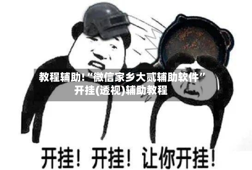 教程辅助!“微信家乡大贰辅助软件”开挂(透视)辅助教程-第2张图片