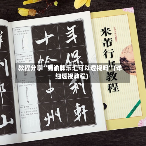 教程分享“蜀渝牌乐汇可以透视吗	”(详细透视教程)-第2张图片