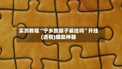 实测教程“宁乡跑胡子装挂吗”开挂(透视)辅助神器-第2张图片