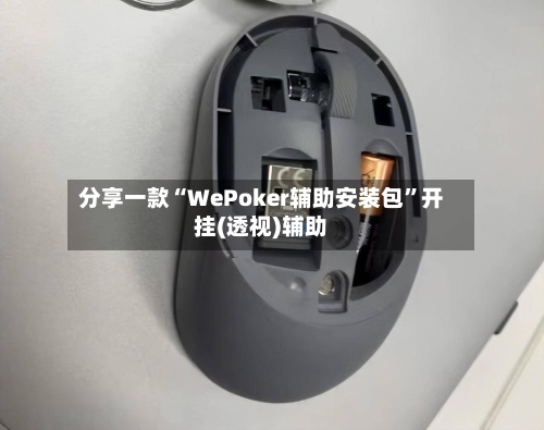 分享一款“WePoker辅助安装包”开挂(透视)辅助-第3张图片