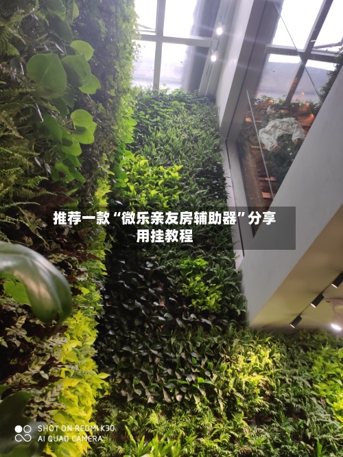 推荐一款“微乐亲友房辅助器”分享用挂教程-第2张图片