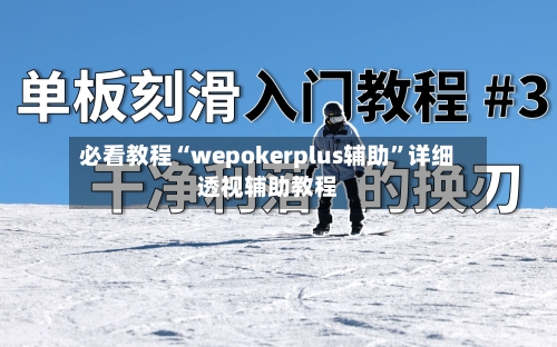 必看教程“wepokerplus辅助	”详细透视辅助教程-第2张图片