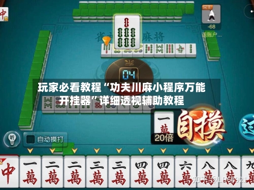 玩家必看教程“功夫川麻小程序万能开挂器	”详细透视辅助教程-第2张图片