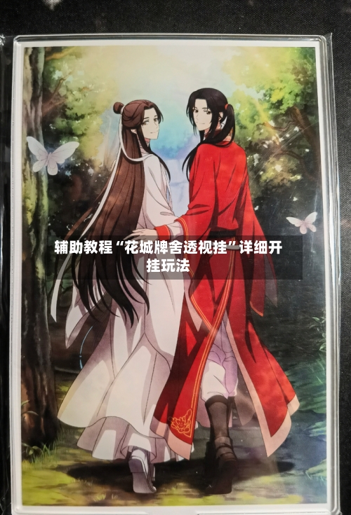 辅助教程“花城牌舍透视挂”详细开挂玩法