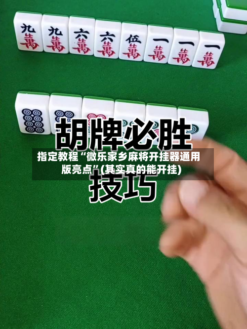 指定教程“微乐家乡麻将开挂器通用版亮点”(其实真的能开挂)