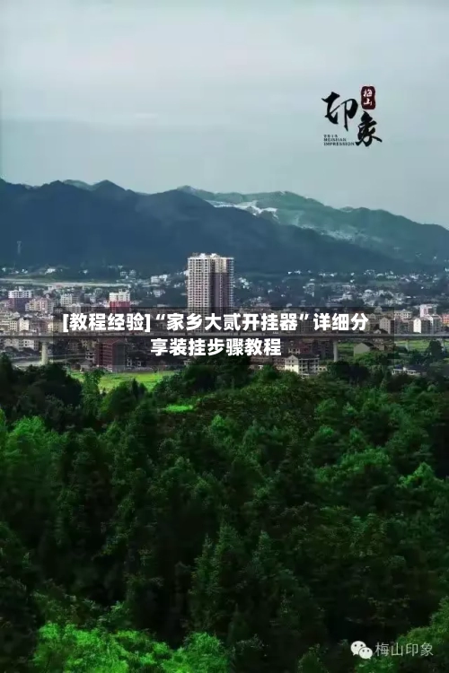 [教程经验]“家乡大贰开挂器”详细分享装挂步骤教程-第2张图片