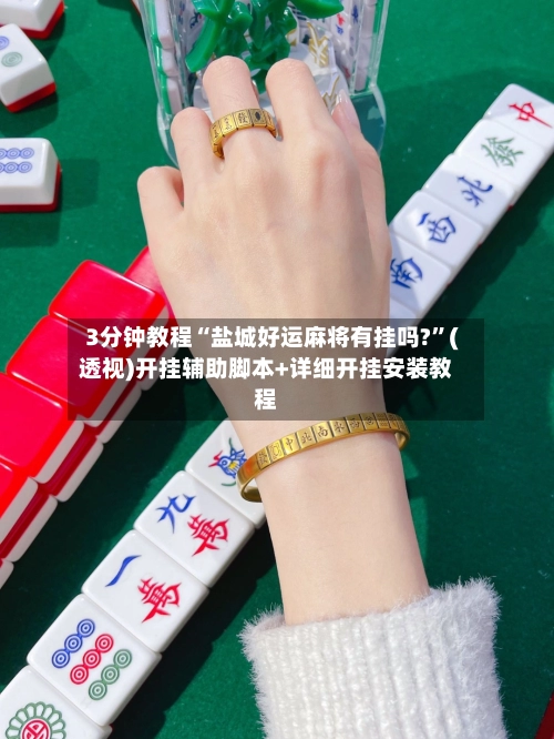 3分钟教程“盐城好运麻将有挂吗?	”(透视)开挂辅助脚本+详细开挂安装教程-第2张图片