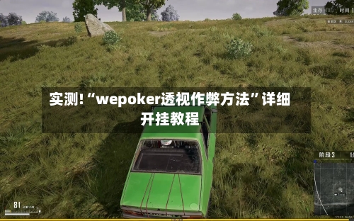 实测!“wepoker透视作弊方法”详细开挂教程-第2张图片