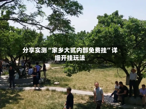 分享实测“家乡大贰内部免费挂”详细开挂玩法