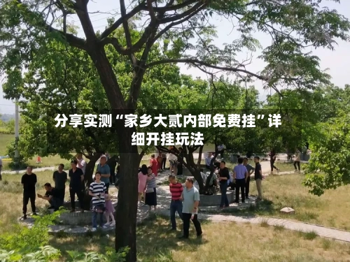 分享实测“家乡大贰内部免费挂”详细开挂玩法-第2张图片