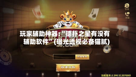 玩家辅助神器:“德扑之星有没有辅助软件”(曝光透视必备猫腻)-第2张图片