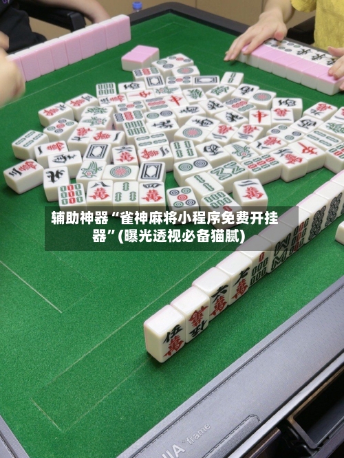 辅助神器“雀神麻将小程序免费开挂器”(曝光透视必备猫腻)-第3张图片