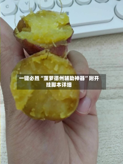 一键必胜“菠萝德州辅助神器”附开挂脚本详细