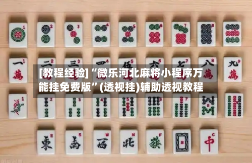 [教程经验]“微乐河北麻将小程序万能挂免费版”(透视挂)辅助透视教程