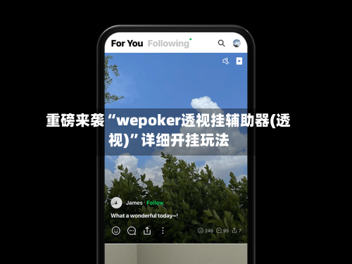 重磅来袭“wepoker透视挂辅助器(透视)	”详细开挂玩法-第2张图片