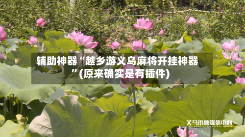 辅助神器“越乡游义乌麻将开挂神器	”(原来确实是有插件)-第2张图片