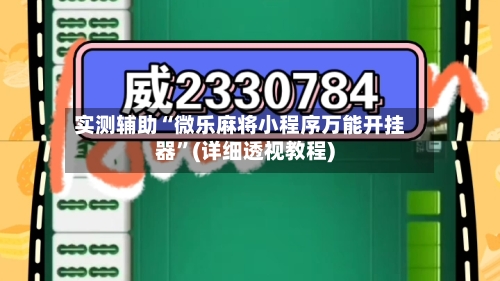 实测辅助“微乐麻将小程序万能开挂器”(详细透视教程)-第2张图片