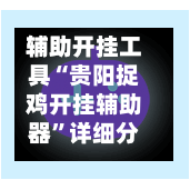 辅助开挂工具“贵阳捉鸡开挂辅助器”详细分享装挂步骤教程-第2张图片