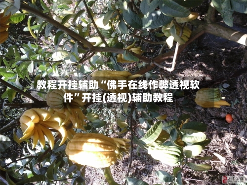 教程开挂辅助“佛手在线作弊透视软件”开挂(透视)辅助教程-第2张图片