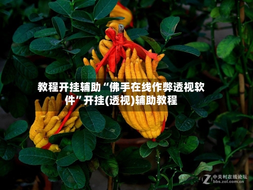 教程开挂辅助“佛手在线作弊透视软件”开挂(透视)辅助教程-第3张图片