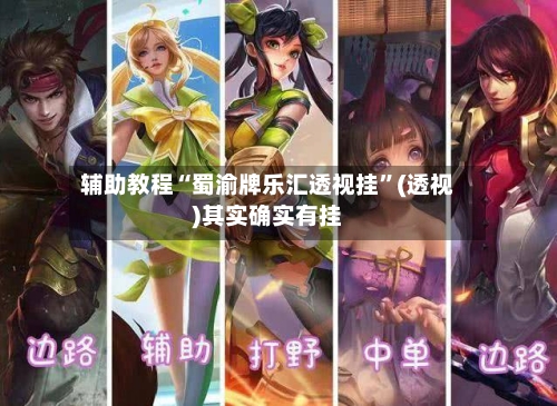 辅助教程“蜀渝牌乐汇透视挂	”(透视)其实确实有挂-第2张图片
