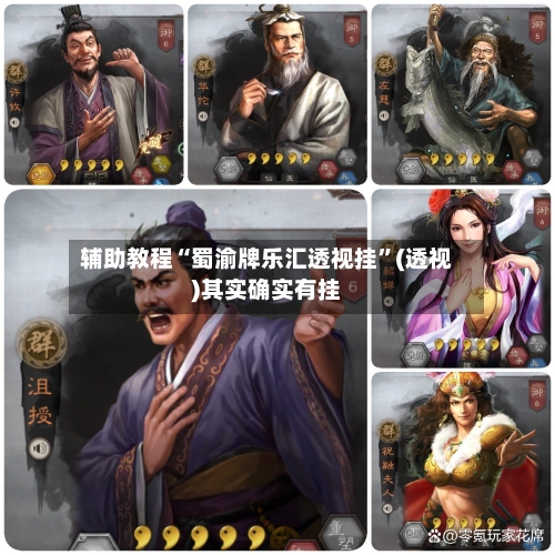 辅助教程“蜀渝牌乐汇透视挂”(透视)其实确实有挂-第3张图片