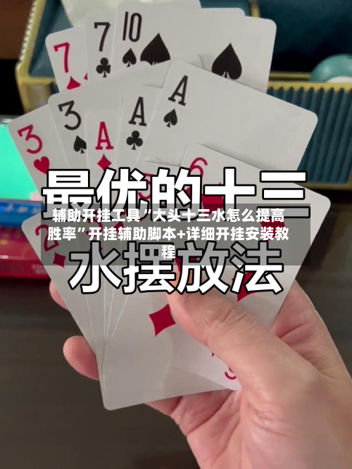 辅助开挂工具“大头十三水怎么提高胜率”开挂辅助脚本+详细开挂安装教程-第2张图片
