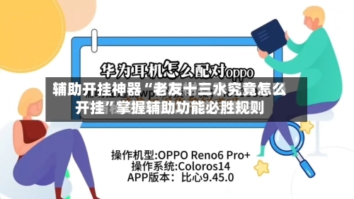 辅助开挂神器“老友十三水究竟怎么开挂”掌握辅助功能必胜规则-第3张图片