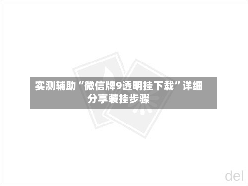 实测辅助“微信牌9透明挂下载	”详细分享装挂步骤-第3张图片