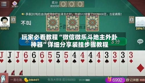 玩家必看教程“微信微乐斗地主外卦神器”详细分享装挂步骤教程-第3张图片