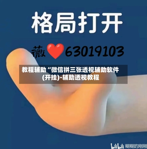 教程辅助“微信拼三张透视辅助软件(开挂)-辅助透视教程-第3张图片
