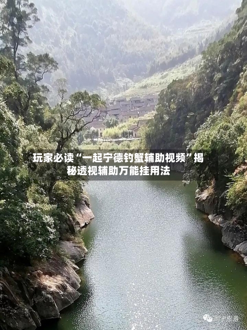 玩家必读“一起宁德钓蟹辅助视频”揭秘透视辅助万能挂用法-第3张图片