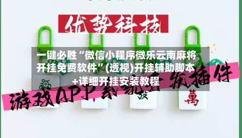 一键必胜“微信小程序微乐云南麻将开挂免费软件”(透视)开挂辅助脚本+详细开挂安装教程-第3张图片